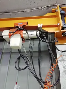 電気チェーンブロック 100kg