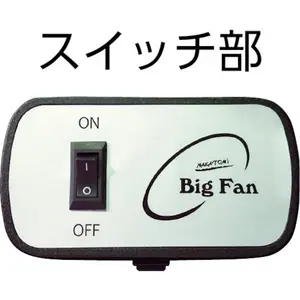 100ｃｍビックファン