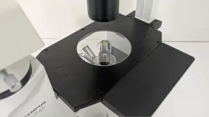 CKX41SF 倒立顕微鏡