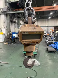 ホワイトスケール