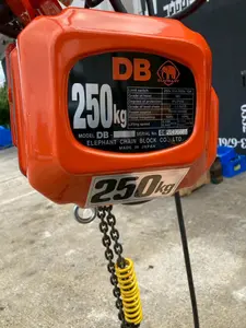 0.25T電動チェーンブロック